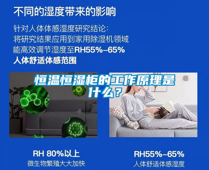 恒溫恒濕柜的工作原理是什么？