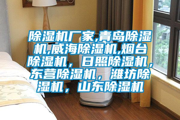 除濕機廠家,青島除濕機,威海除濕機,煙臺除濕機，日照除濕機，東營除濕機，濰坊除濕機，山東除濕機