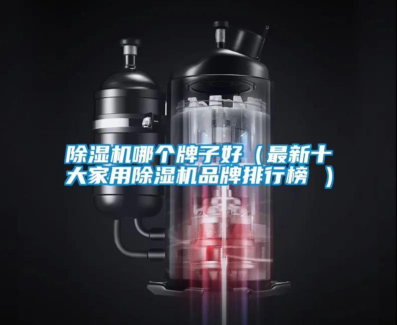 除濕機(jī)哪個(gè)牌子好(最新十大家用除濕機(jī)品牌排行榜 )
