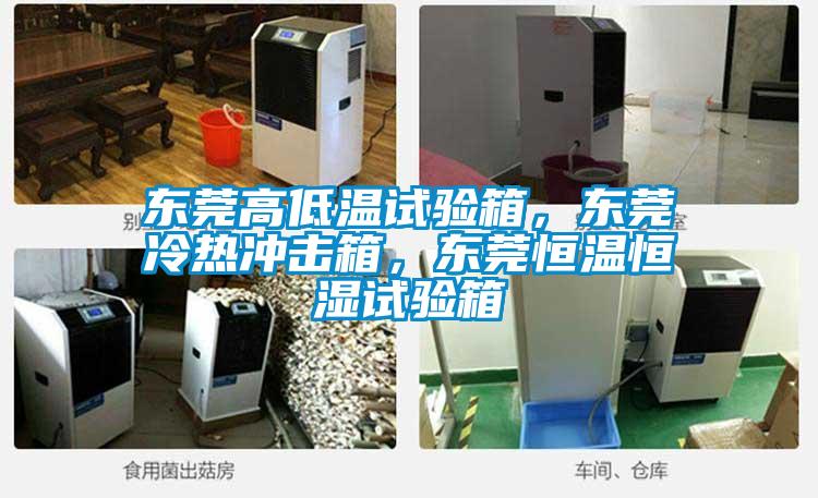 東莞高低溫試驗(yàn)箱,東莞冷熱沖擊箱,東莞恒溫恒濕試驗(yàn)箱