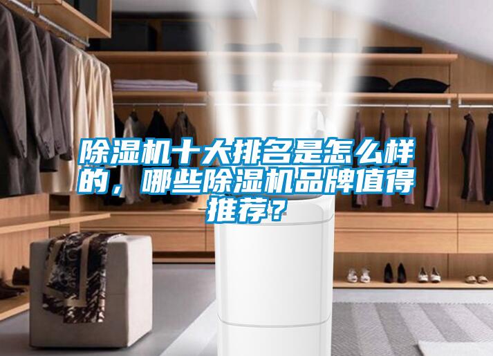 除濕機十大排名是怎么樣的，哪些除濕機品牌值得推薦？