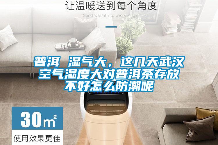 普洱 濕氣大，這幾天武漢空氣濕度大對普洱茶存放不好怎么防潮呢
