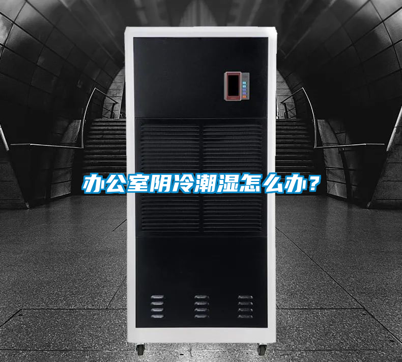 辦公室陰冷潮濕怎么辦?