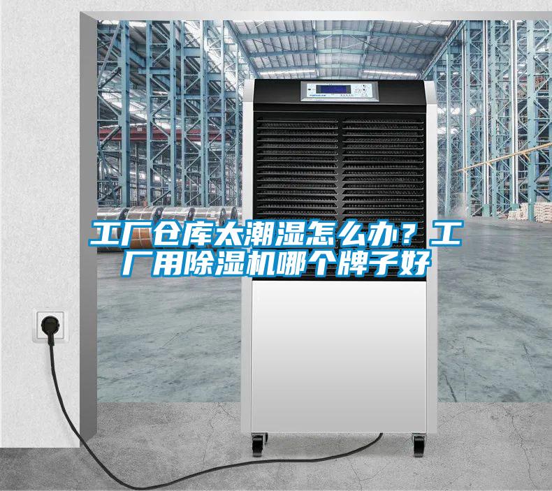 工廠(chǎng)倉(cāng)庫(kù)太潮濕怎么辦？工廠(chǎng)用除濕機(jī)哪個(gè)牌子好