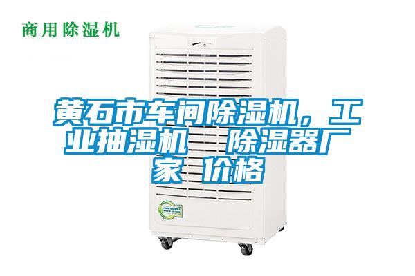 黃石市車間除濕機，工業抽濕機  除濕器廠家 價格