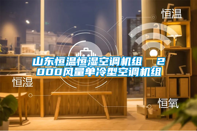 山東恒溫恒濕空調機組 2000風量單冷型空調機組
