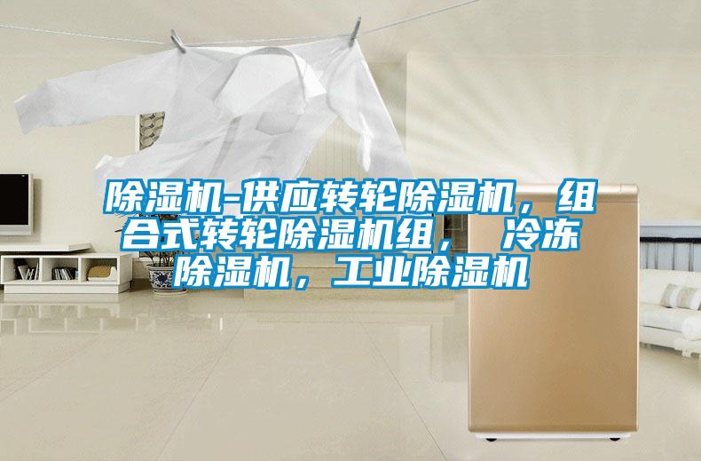 除濕機(jī)-供應(yīng)轉(zhuǎn)輪除濕機(jī),組合式轉(zhuǎn)輪除濕機(jī)組, 冷凍除濕機(jī),工業(yè)除濕機(jī)