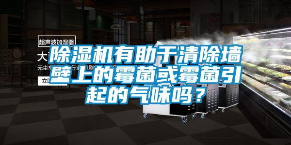 除濕機有助于清除墻壁上的霉菌或霉菌引起的氣味嗎？