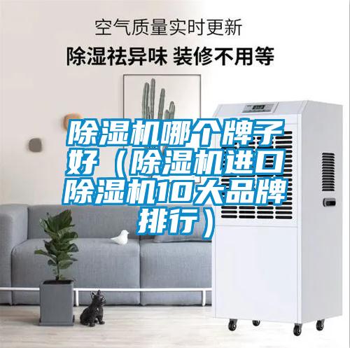 除濕機哪個牌子好(除濕機進口除濕機10大品牌排行)