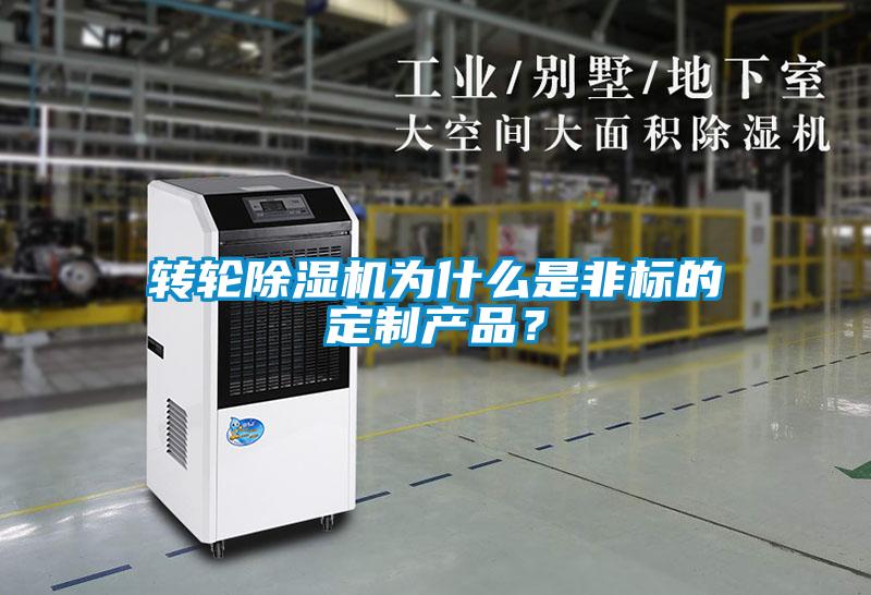 轉輪除濕機為什么是非標的定制產品?