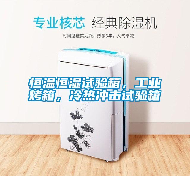 恒溫恒濕試驗箱，工業烤箱，冷熱沖擊試驗箱