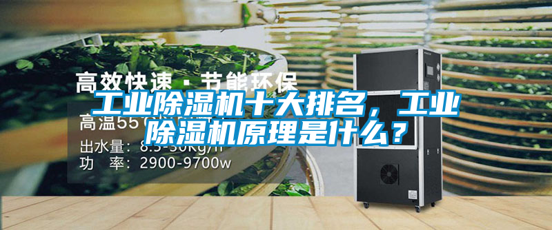 工業(yè)除濕機十大排名,工業(yè)除濕機原理是什么?