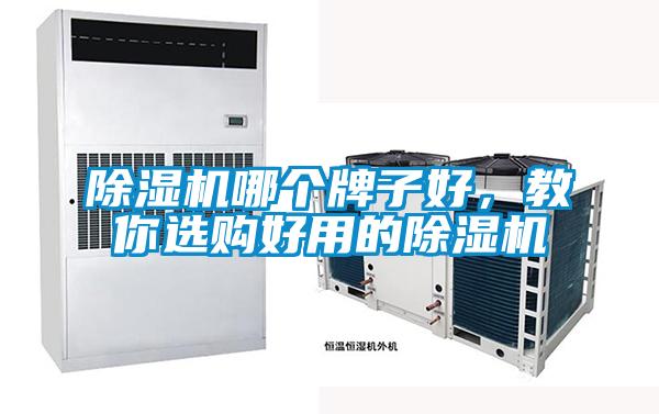 除濕機(jī)哪個(gè)牌子好,教你選購好用的除濕機(jī)