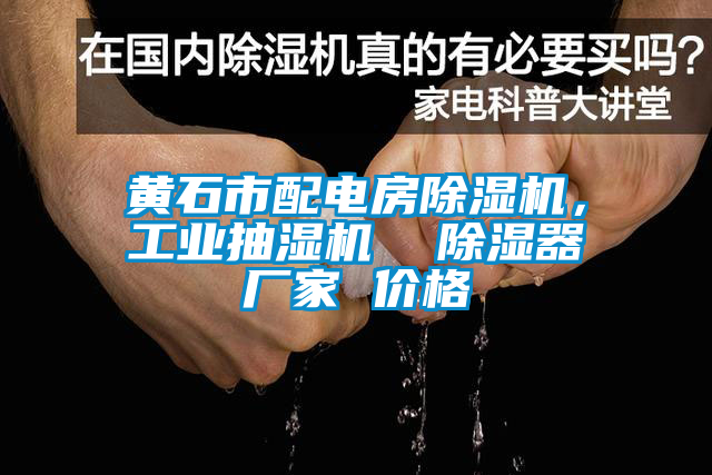 黃石市配電房除濕機,工業(yè)抽濕機 除濕器廠家 價格