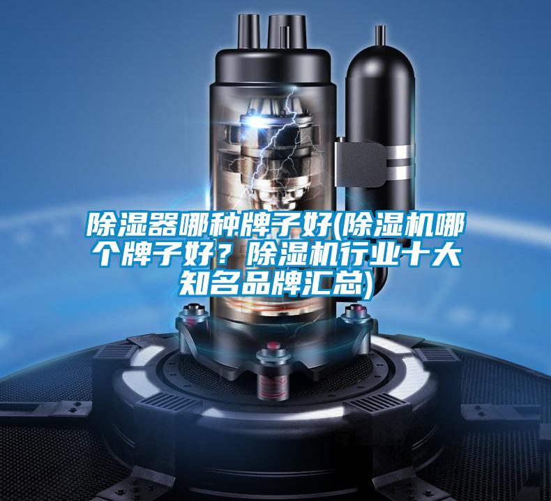 除濕器哪種牌子好(除濕機哪個牌子好？除濕機行業十大知名品牌匯總)