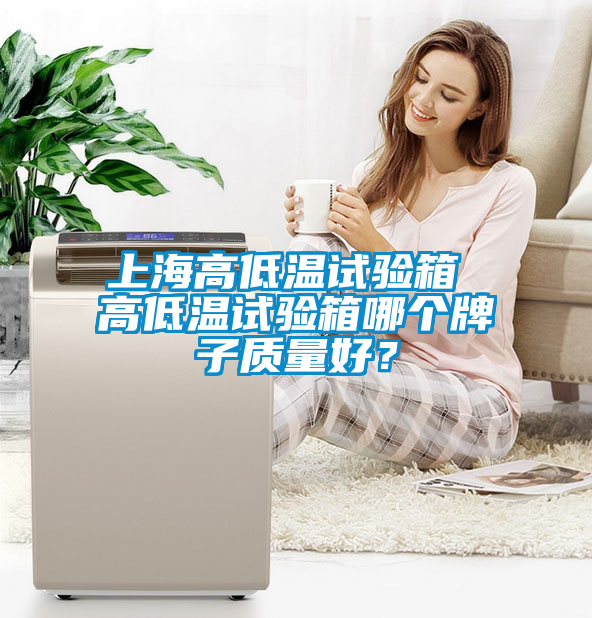 上海高低溫試驗箱 高低溫試驗箱哪個牌子質(zhì)量好?