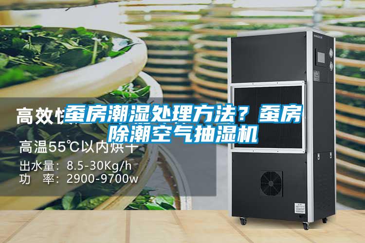 蠶房潮濕處理方法?蠶房除潮空氣抽濕機