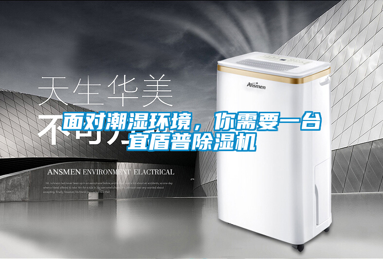 面對潮濕環境，你需要一臺宜盾普除濕機