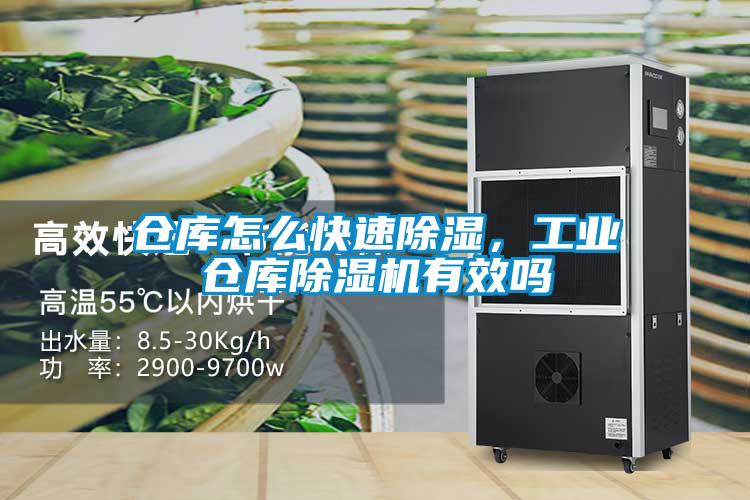 倉庫怎么快速除濕,工業(yè)倉庫除濕機有效嗎