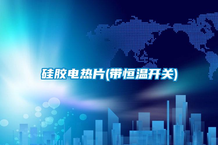 硅膠電熱片(帶恒溫開關(guān))