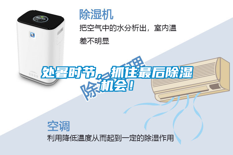 處暑時節,抓住最后除濕機會!