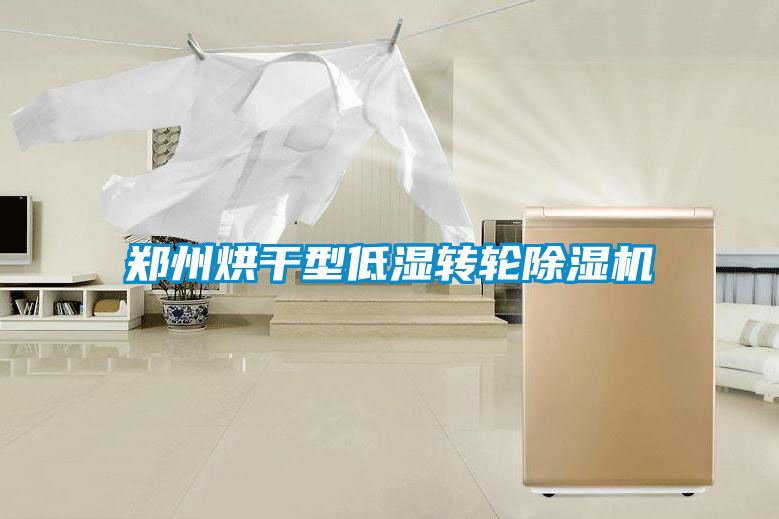 鄭州烘干型低濕轉(zhuǎn)輪除濕機