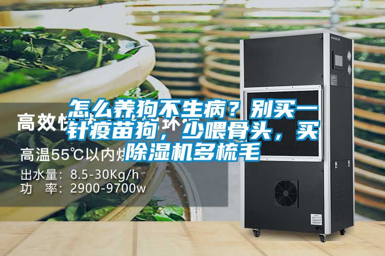 怎么養狗不生?。縿e買一針疫苗狗，少喂骨頭，買除濕機多梳毛