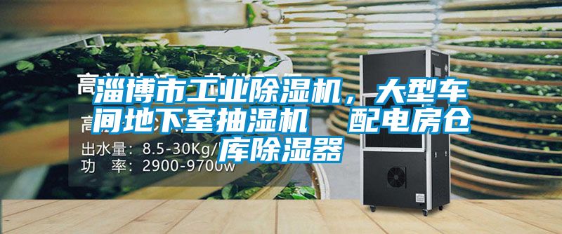 淄博市工業除濕機，大型車間地下室抽濕機  配電房倉庫除濕器