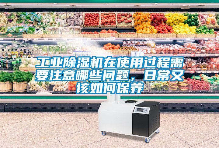工業除濕機在使用過程需要注意哪些問題，日常又該如何保養