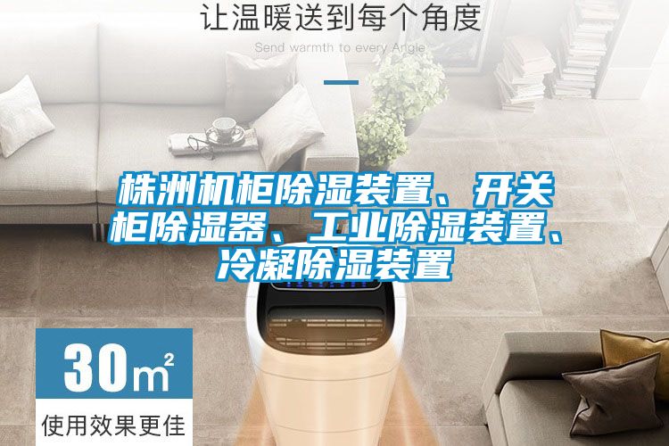 株洲機(jī)柜除濕裝置、開關(guān)柜除濕器、工業(yè)除濕裝置、冷凝除濕裝置