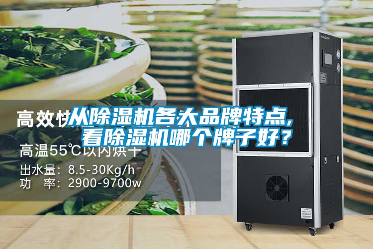 從除濕機(jī)各大品牌特點, 看除濕機(jī)哪個牌子好？