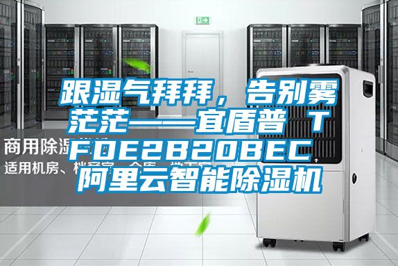 跟濕氣拜拜，告別霧茫茫——宜盾普 TFDE2B20BEC 阿里云智能除濕機(jī)