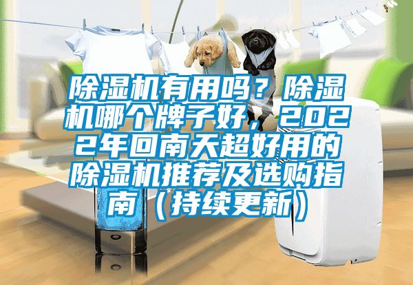 除濕機有用嗎?除濕機哪個牌子好,2022年回南天超好用的除濕機推薦及選購指南(持續(xù)更新)