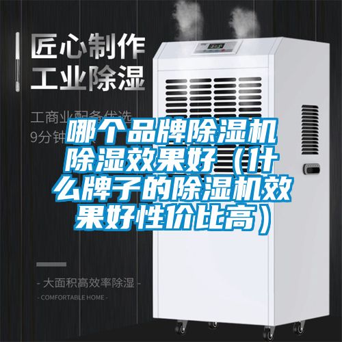 哪個品牌除濕機除濕效果好(什么牌子的除濕機效果好性價比高)
