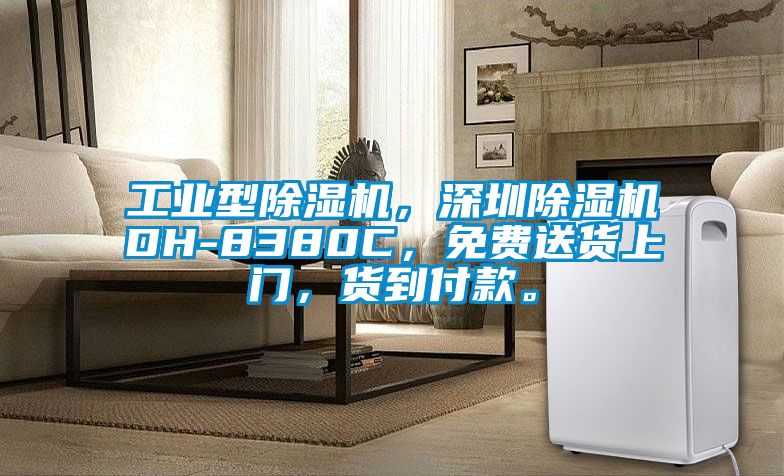 工業型除濕機，深圳除濕機DH-8380C，免費送貨上門，貨到付款。