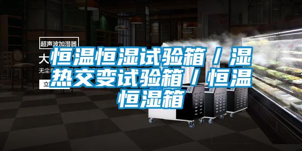 恒溫恒濕試驗(yàn)箱/濕熱交變試驗(yàn)箱/恒溫恒濕箱