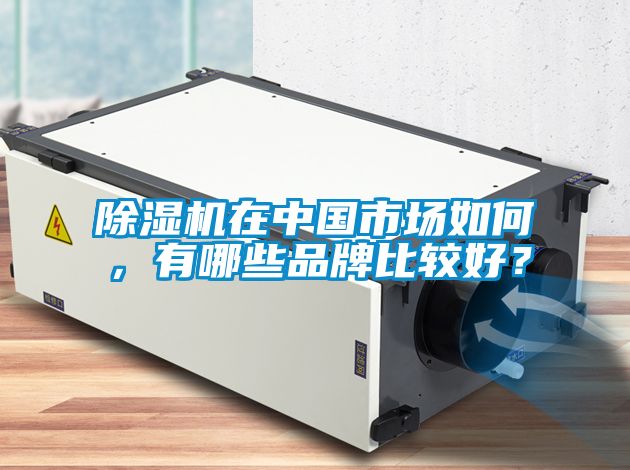 除濕機在中國市場如何，有哪些品牌比較好？