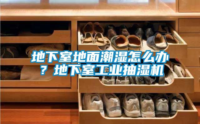 地下室地面潮濕怎么辦?地下室工業(yè)抽濕機