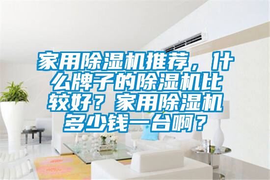 家用除濕機(jī)推薦，什么牌子的除濕機(jī)比較好？家用除濕機(jī)多少錢一臺(tái)??？
