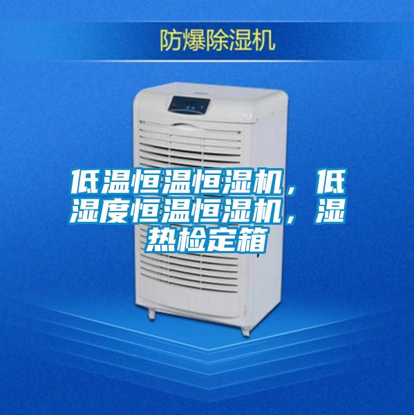 低溫恒溫恒濕機，低濕度恒溫恒濕機，濕熱檢定箱