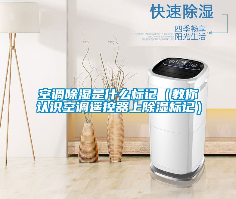 空調(diào)除濕是什么標(biāo)記(教你認(rèn)識(shí)空調(diào)遙控器上除濕標(biāo)記)