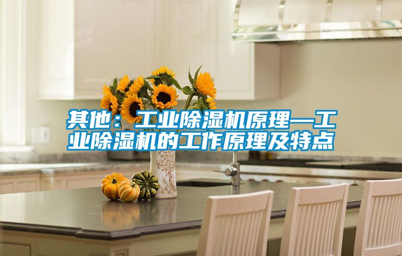 其他:工業(yè)除濕機(jī)原理—工業(yè)除濕機(jī)的工作原理及特點(diǎn)