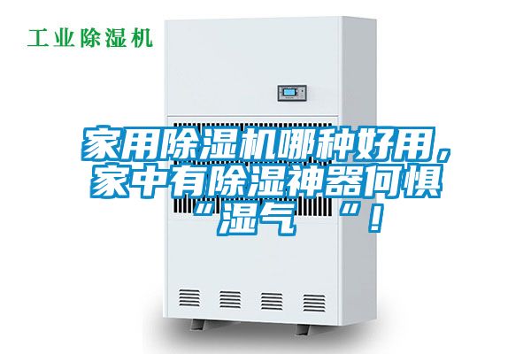家用除濕機(jī)哪種好用，家中有除濕神器何懼 “濕氣 “！