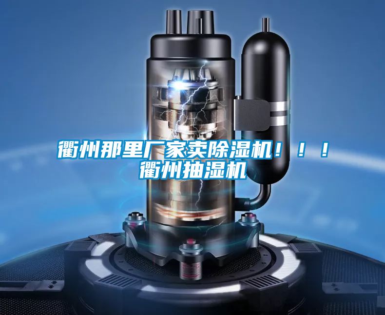 衢州那里廠家賣除濕機?。。♂橹莩闈駲C