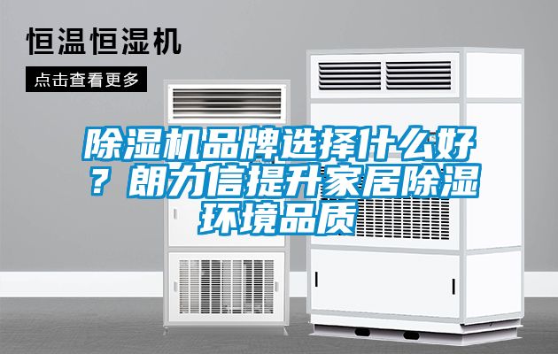 除濕機品牌選擇什么好?朗力信提升家居除濕環境品質