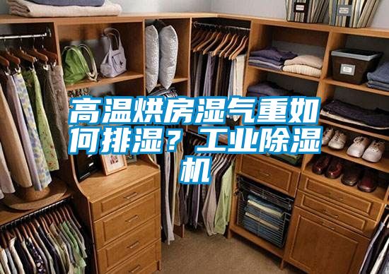 高溫烘房濕氣重如何排濕?工業(yè)除濕機(jī)