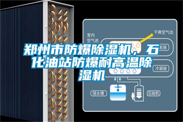 鄭州市防爆除濕機,石化油站防爆耐高溫除濕機