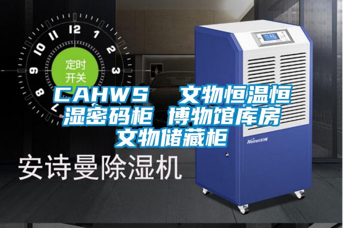 CAHWS 文物恒溫恒濕密碼柜 博物館庫房文物儲藏柜
