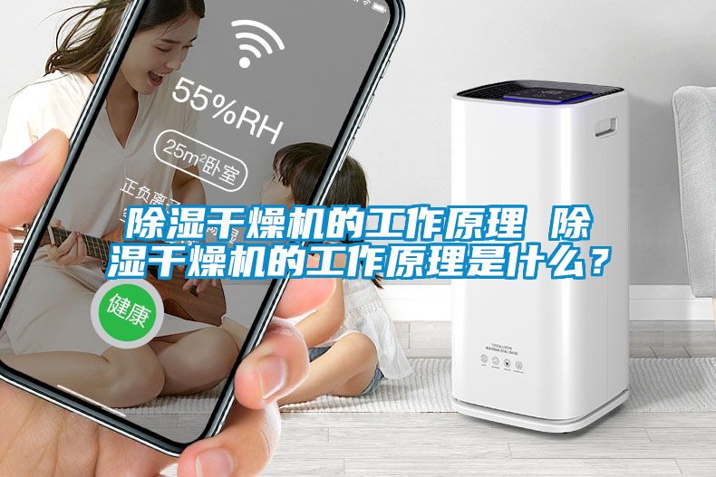 除濕干燥機的工作原理 除濕干燥機的工作原理是什么?