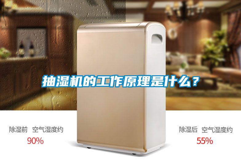 抽濕機(jī)的工作原理是什么?